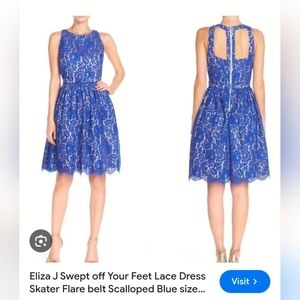 Eliza J Royal Blue Lace Midi Dress